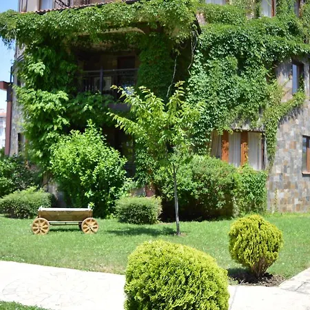 South - New Management And Free Access