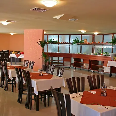 South - New Management And Free Access