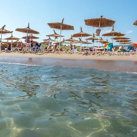 酒店 South - New Management And Free Access