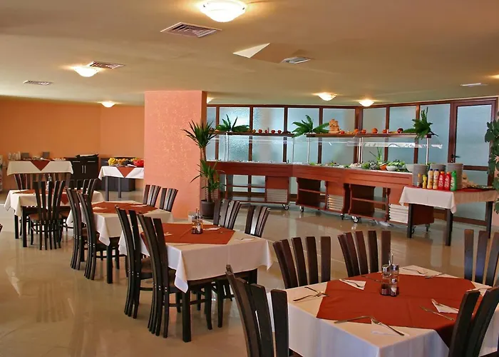 South - New Management And Free Access